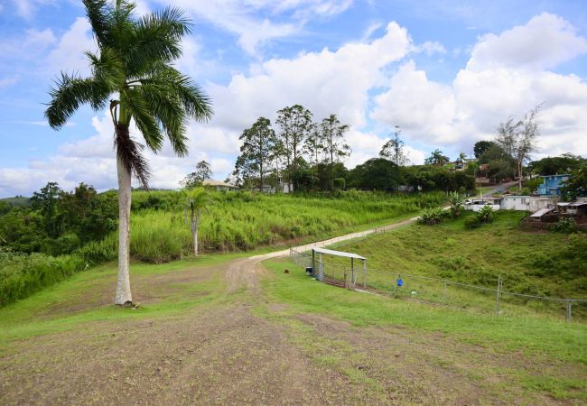 Farm stay in Cidra - Private Mountain Gazebo for Events | BBQ + Views | 150+ Guests