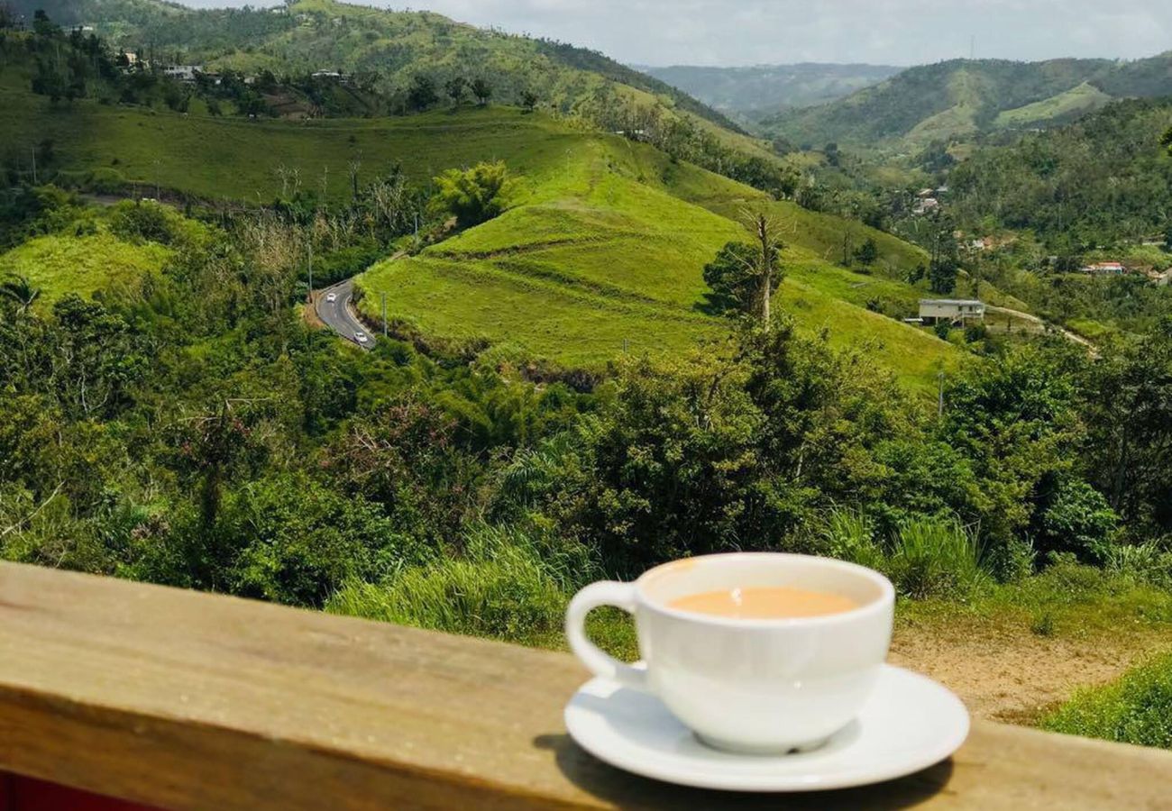 Farm stay in Cidra - Private Mountain Gazebo for Events | BBQ + Views | 150+ Guests