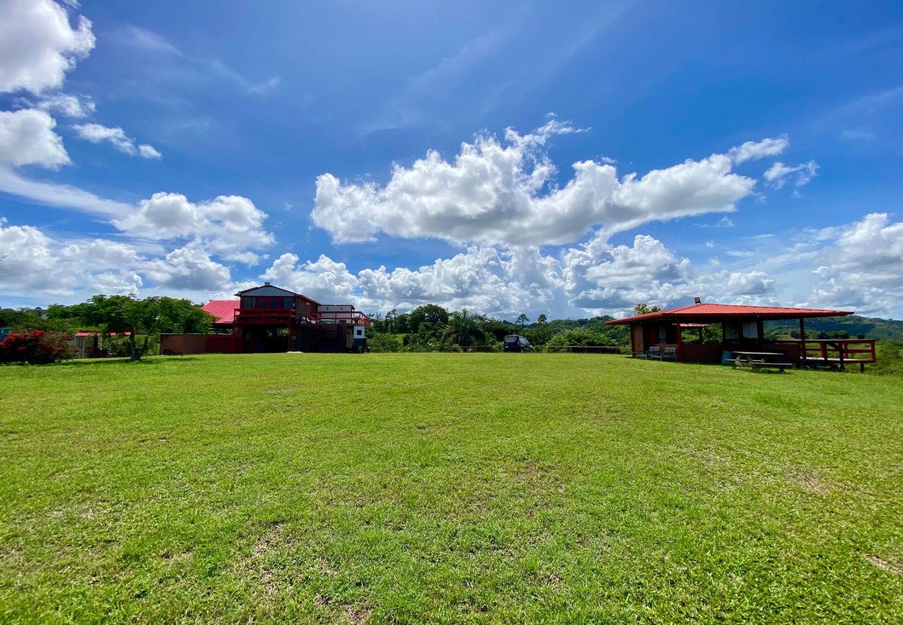 Farm stay in Cidra - Private Mountain Gazebo for Events | BBQ + Views | 150+ Guests