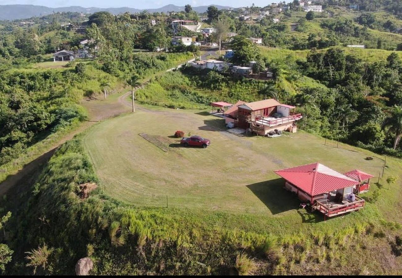 Farm stay in Cidra - Private Mountain Gazebo for Events | BBQ + Views | 150+ Guests