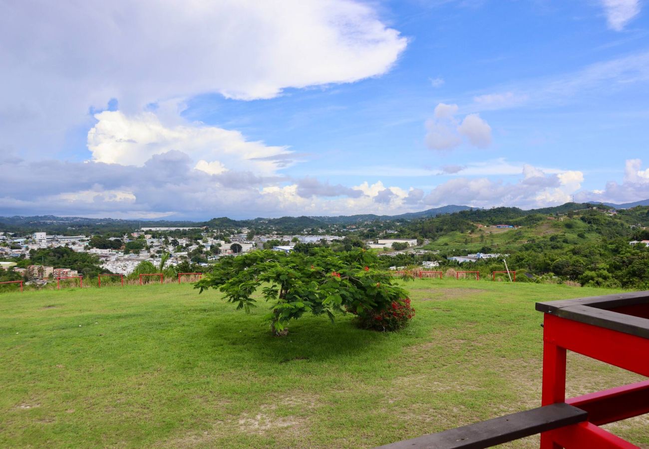 Farm stay in Cidra - Private Mountain Gazebo for Events | BBQ + Views | 150+ Guests