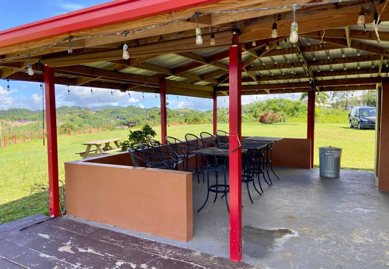 Farm stay in Cidra - Private Mountain Gazebo for Events | BBQ + Views | 150+ Guests