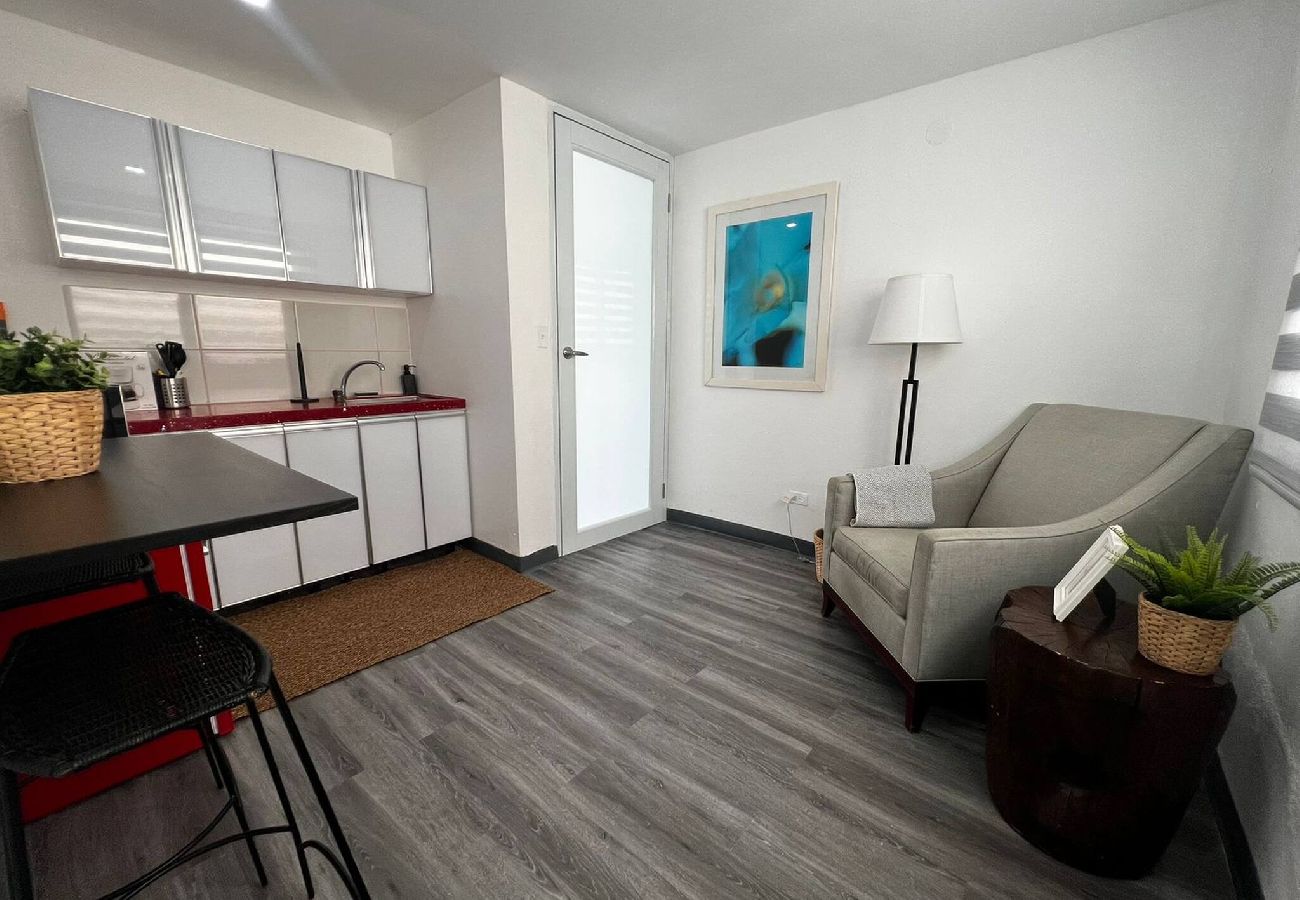 House in San Juan - Downtown Studio at  San Juan 