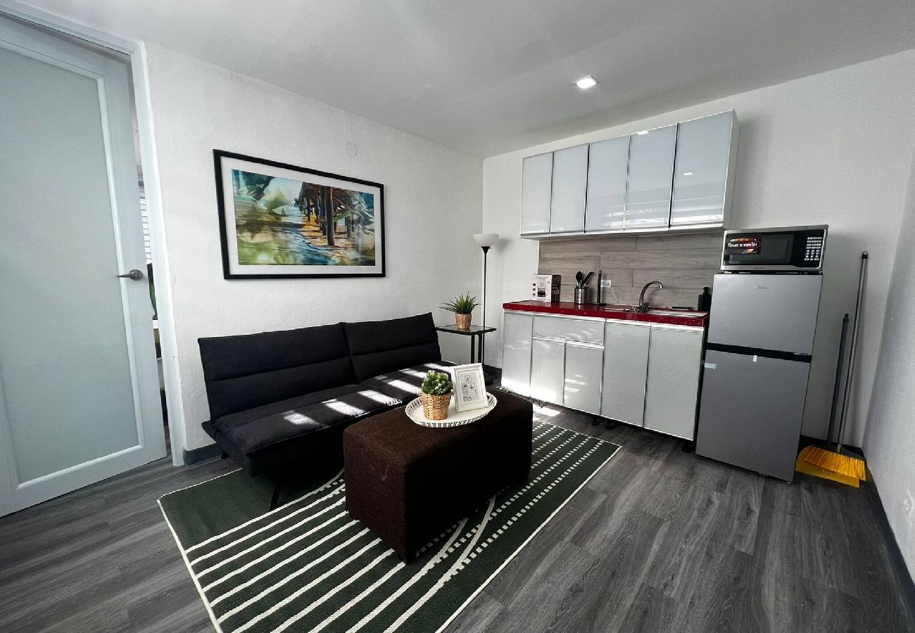 House in San Juan - Downtown Studio in San Juan Janer House 