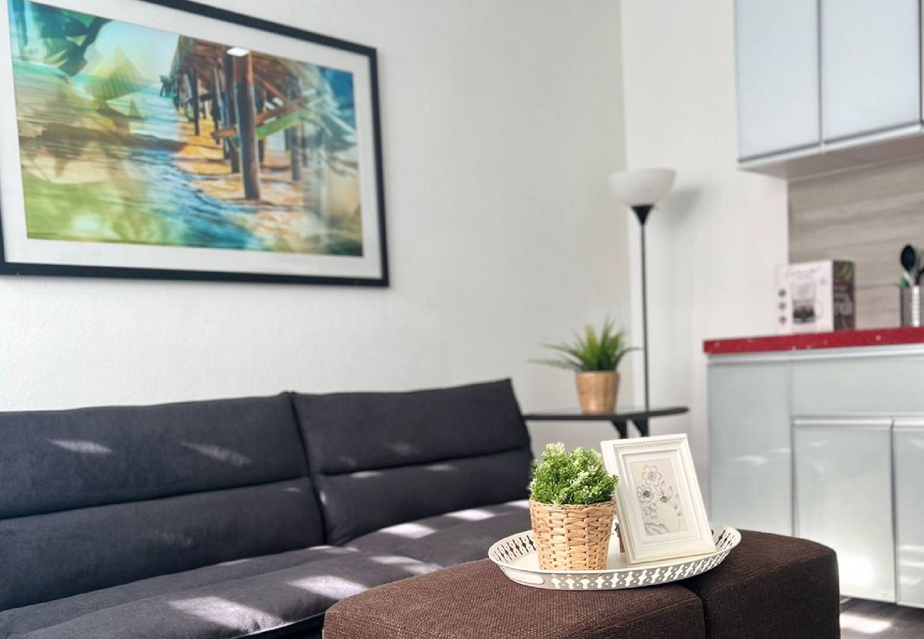 House in San Juan - Downtown Studio in San Juan Janer House 