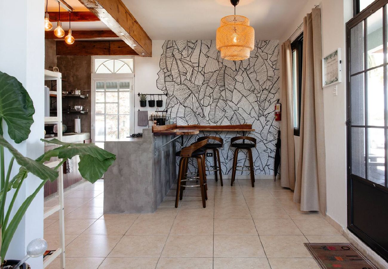 House in Camuy - Oceanfront Rustic Family Home Fully Equipped for 8