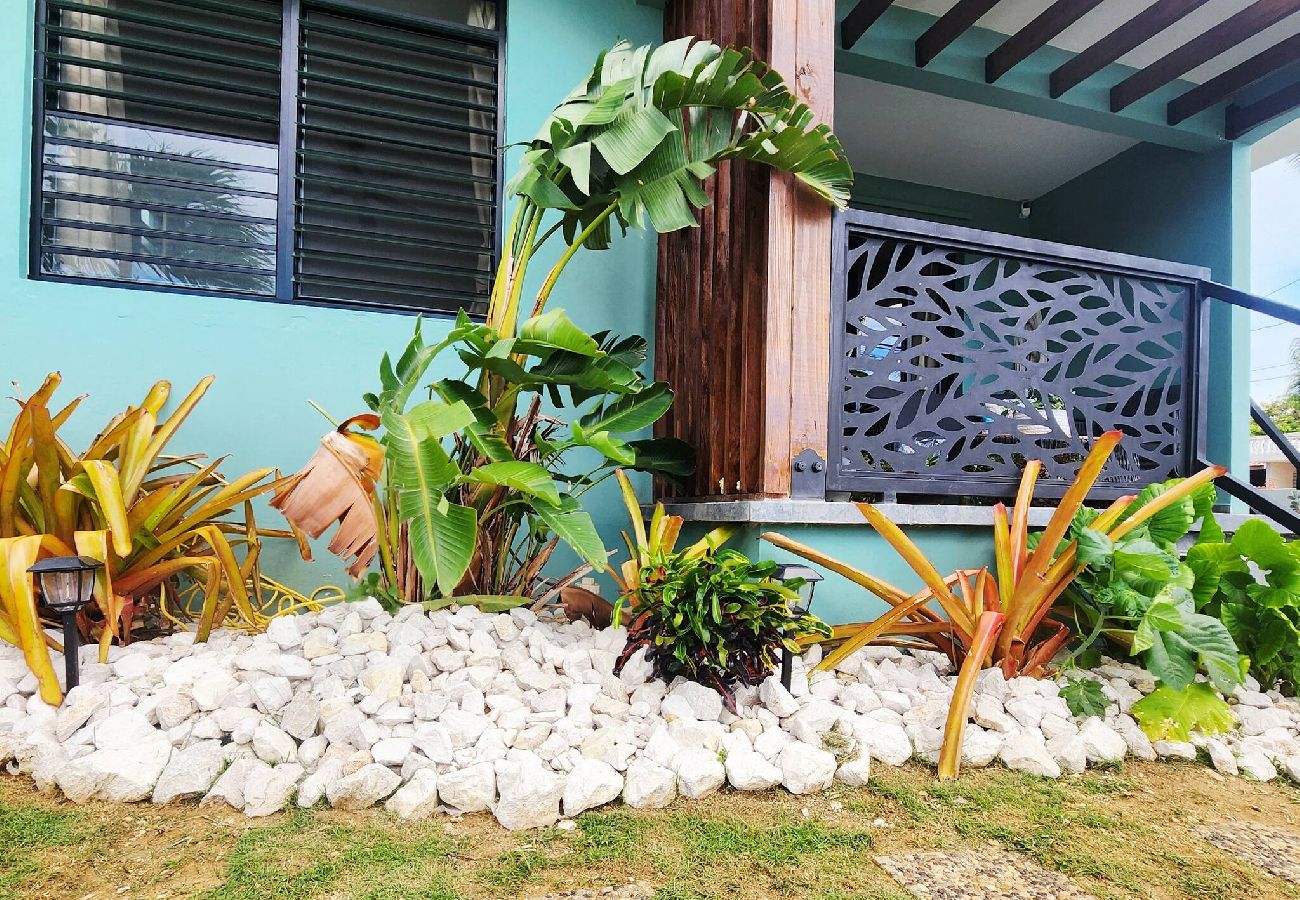 House in Camuy - Oceanfront Rustic Family Home Fully Equipped for 8