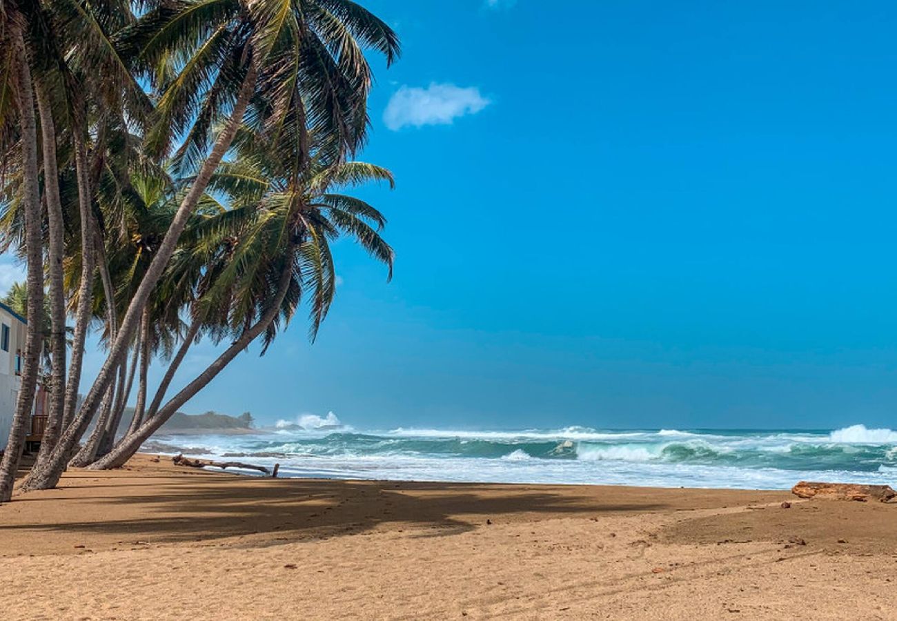 House in Camuy - Oceanfront Rustic Family Home Fully Equipped for 8