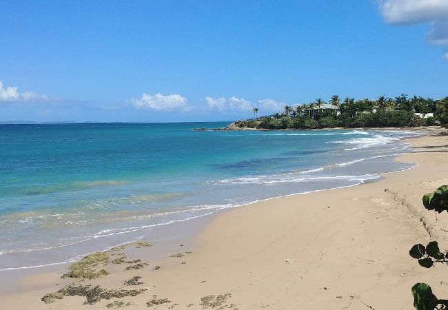 Apartment in Vieques - Walk to the Beach · BioBay & Snorkel Tours 