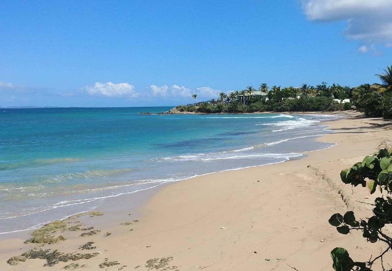 Apartment in Vieques - Walk to the Beach · BioBay & Snorkel Tours 