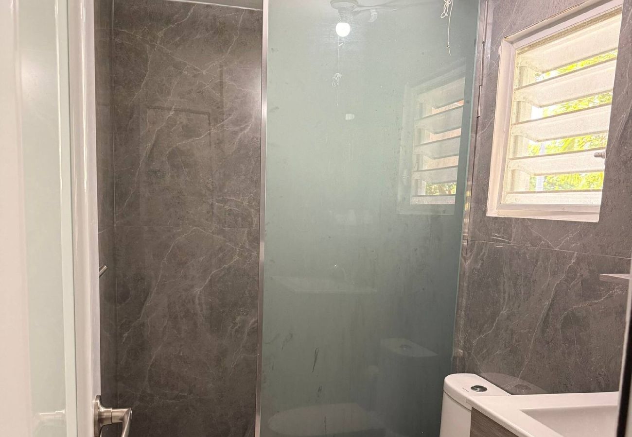 Apartment in Vieques - Walk to the Beach · BioBay & Snorkel Tours 