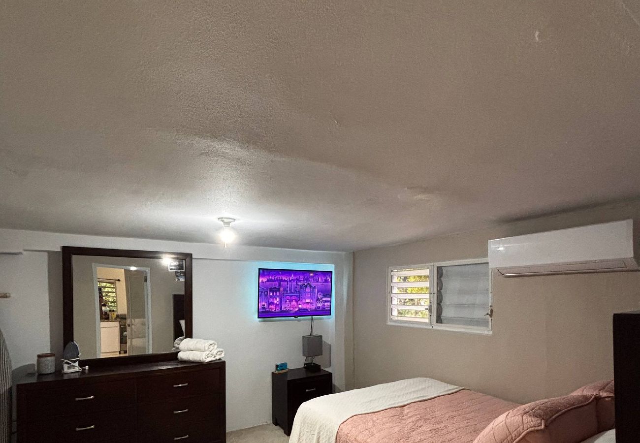 Apartment in Vieques - Walk to the Beach · BioBay & Snorkel Tours 