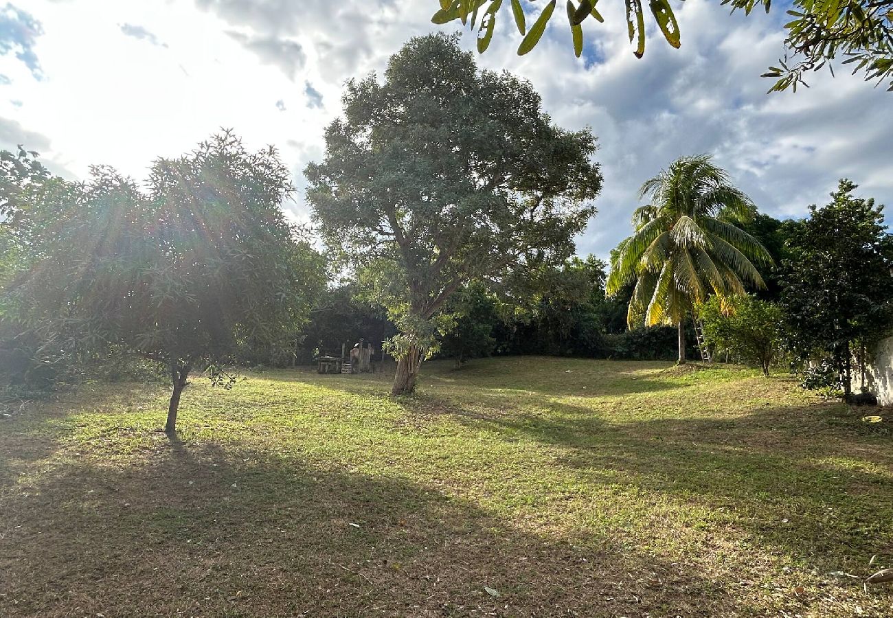 Apartment in Vieques - Walk to the Beach · BioBay & Snorkel Tours 