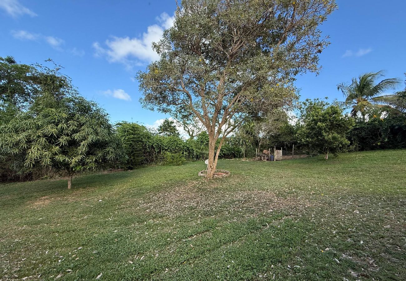 Apartment in Vieques - Walk to the Beach · BioBay & Snorkel Tours 