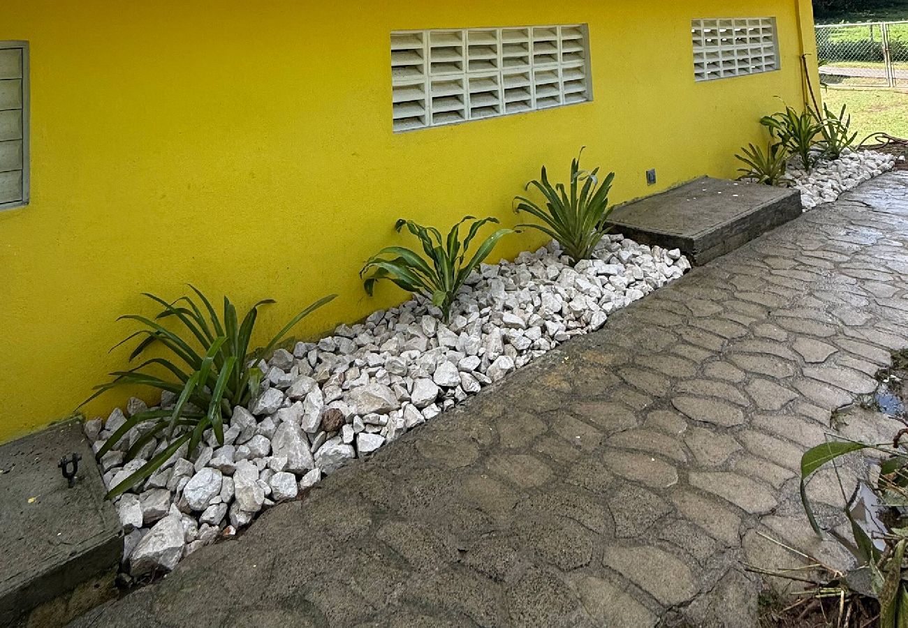 Apartment in Vieques - Walk to the Beach · BioBay & Snorkel Tours 