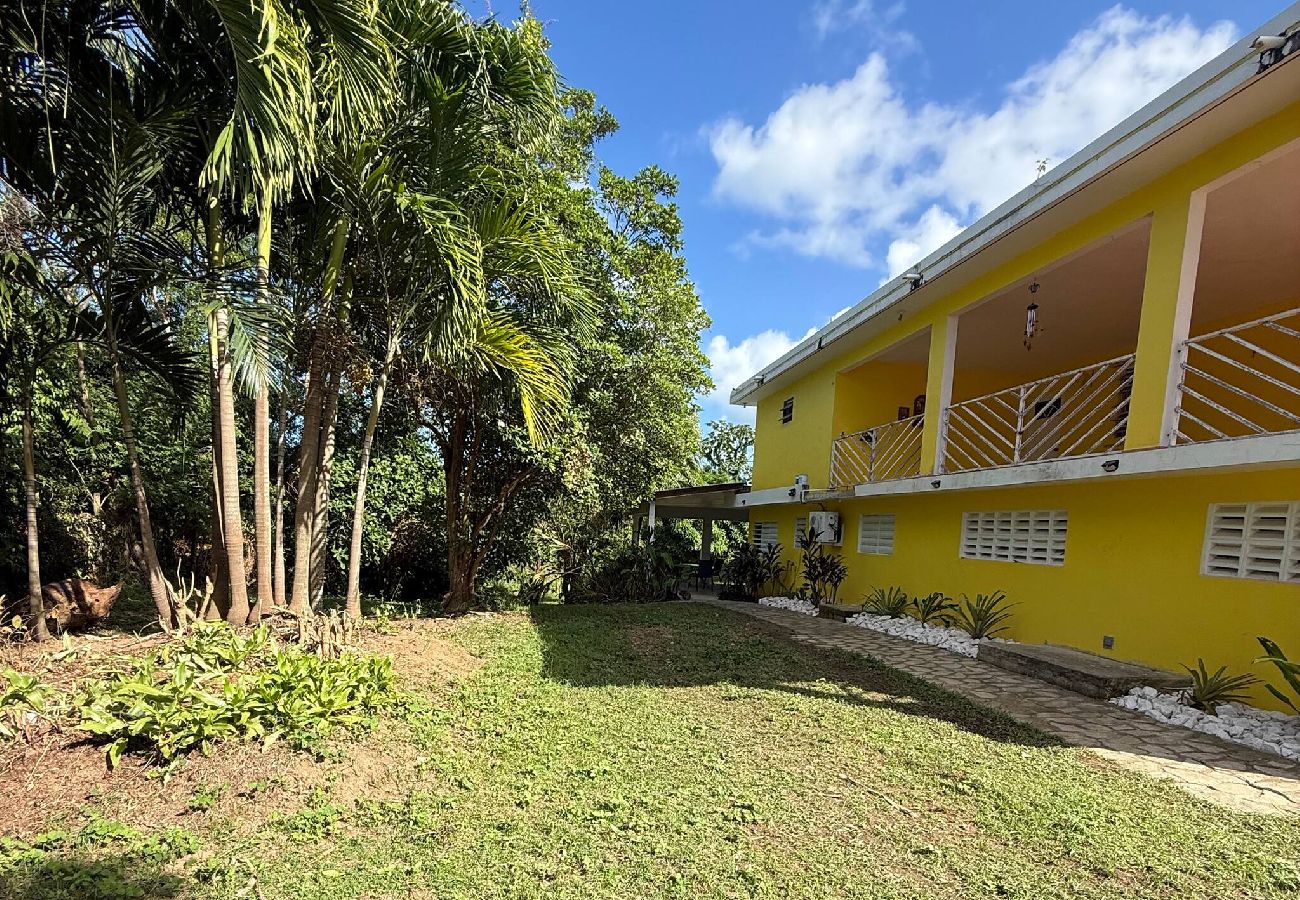 Apartment in Vieques - Walk to the Beach · BioBay & Snorkel Tours 