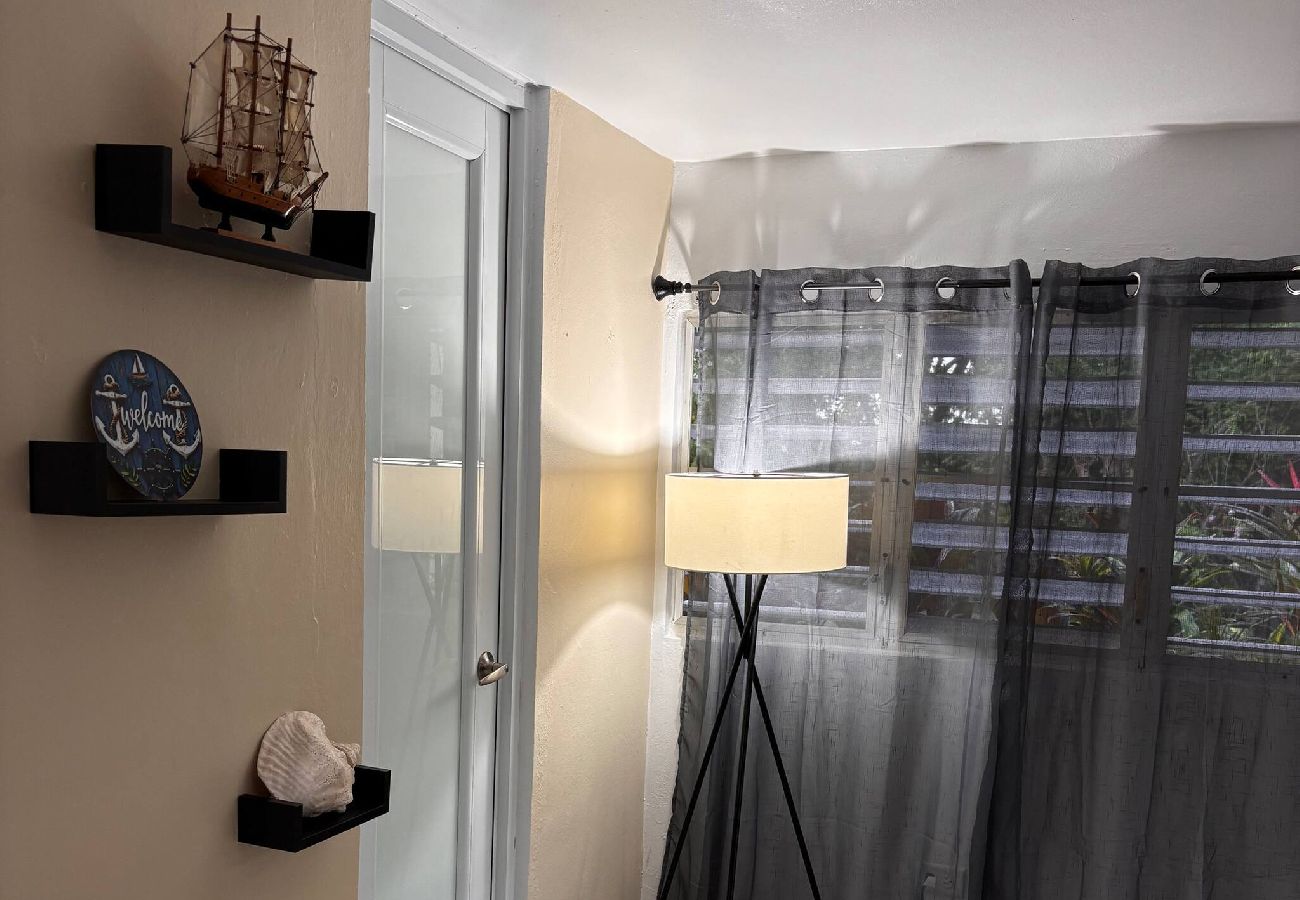 Apartment in Vieques - Walk to the Beach · BioBay & Snorkel Tours 