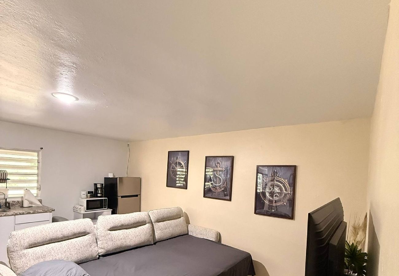 Apartment in Vieques - Walk to the Beach · BioBay & Snorkel Tours 