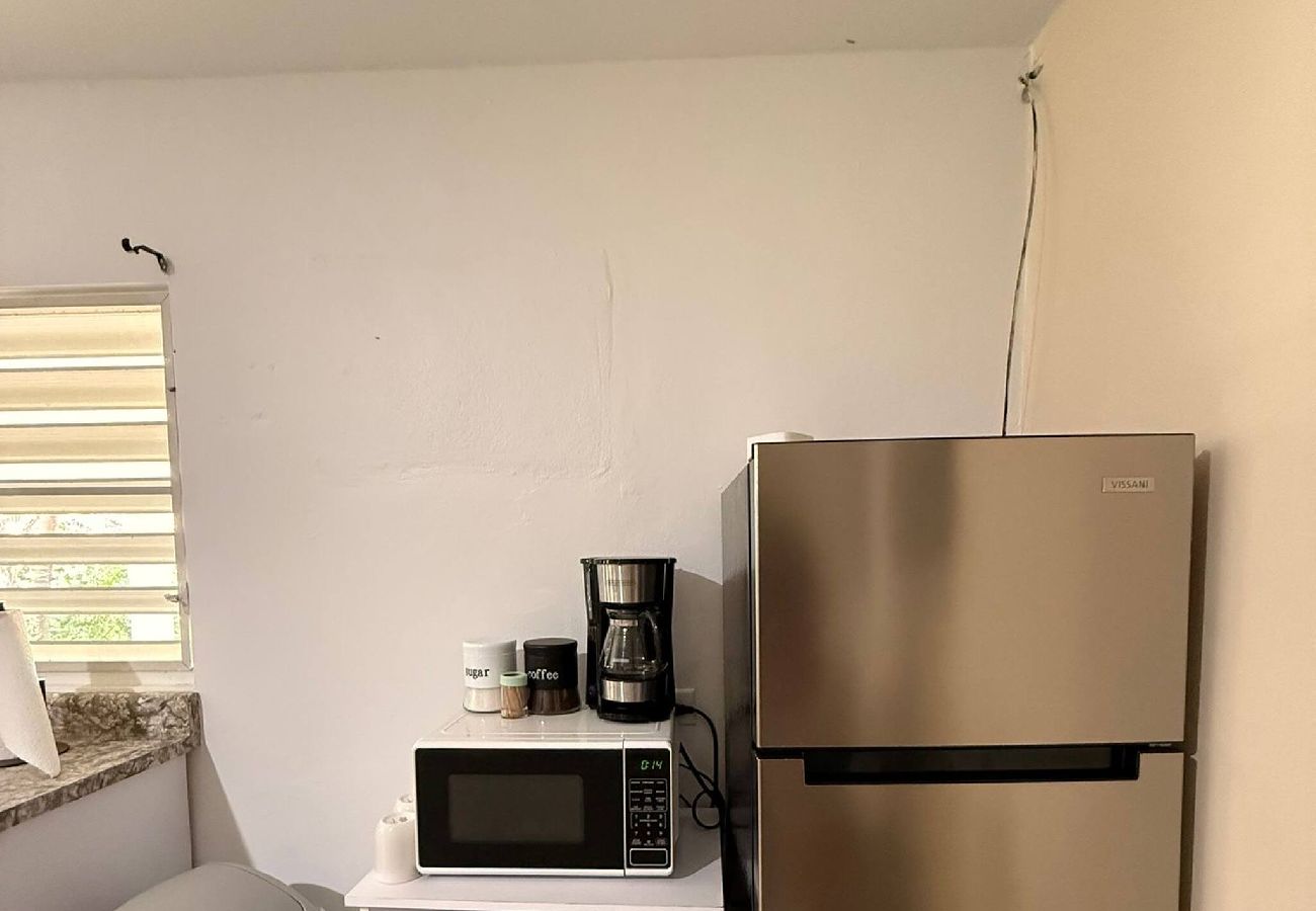 Apartment in Vieques - Walk to the Beach · BioBay & Snorkel Tours 