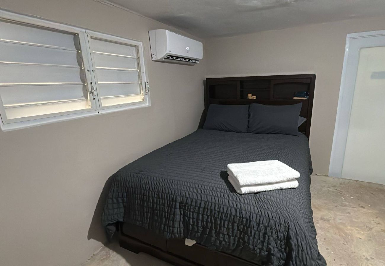 Apartment in Vieques - Walk to the Beach · BioBay & Snorkel Tours 