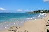 Apartment in Vieques - Walk to the Beach · BioBay & Snorkel Tours 
