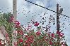 Apartment in Yauco - Brisas Apt | Comfort & WiFi with A/C 