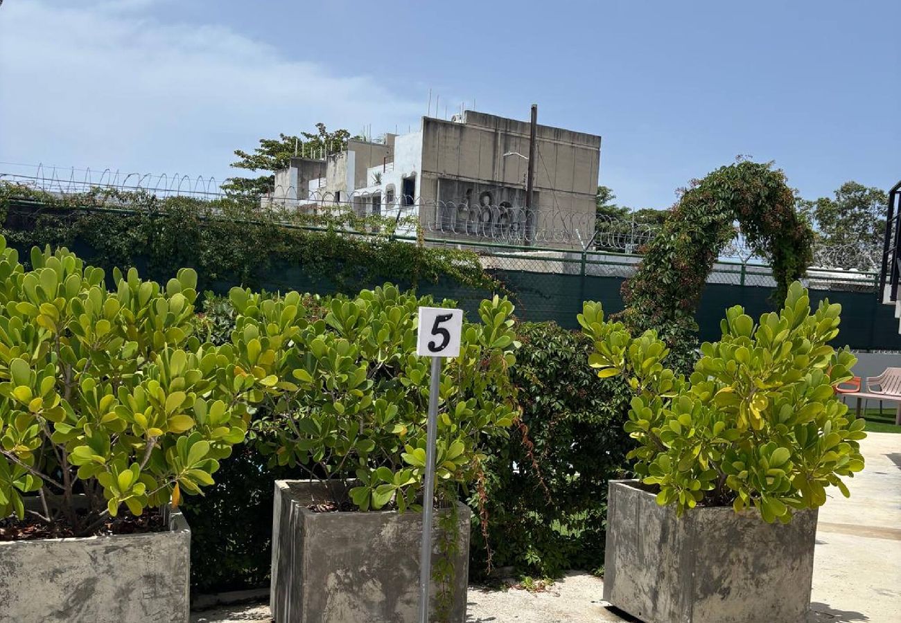 Apartment in San Juan - Brisamare Apt 5 | 2BR | Pool, BBQ, Generator 