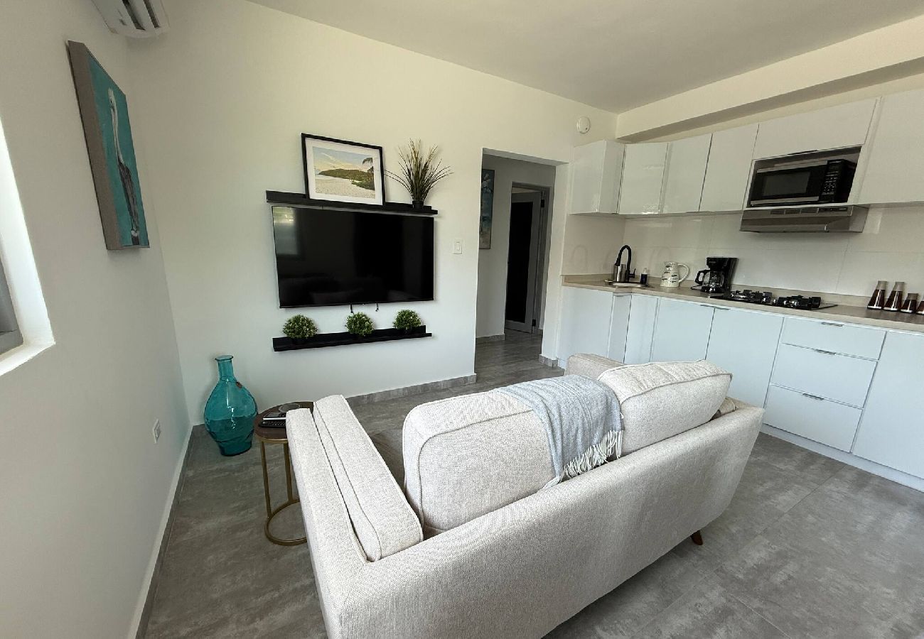Apartment in San Juan - Brisamare Apt 3 | 2BR | Pool, BBQ, Generator 