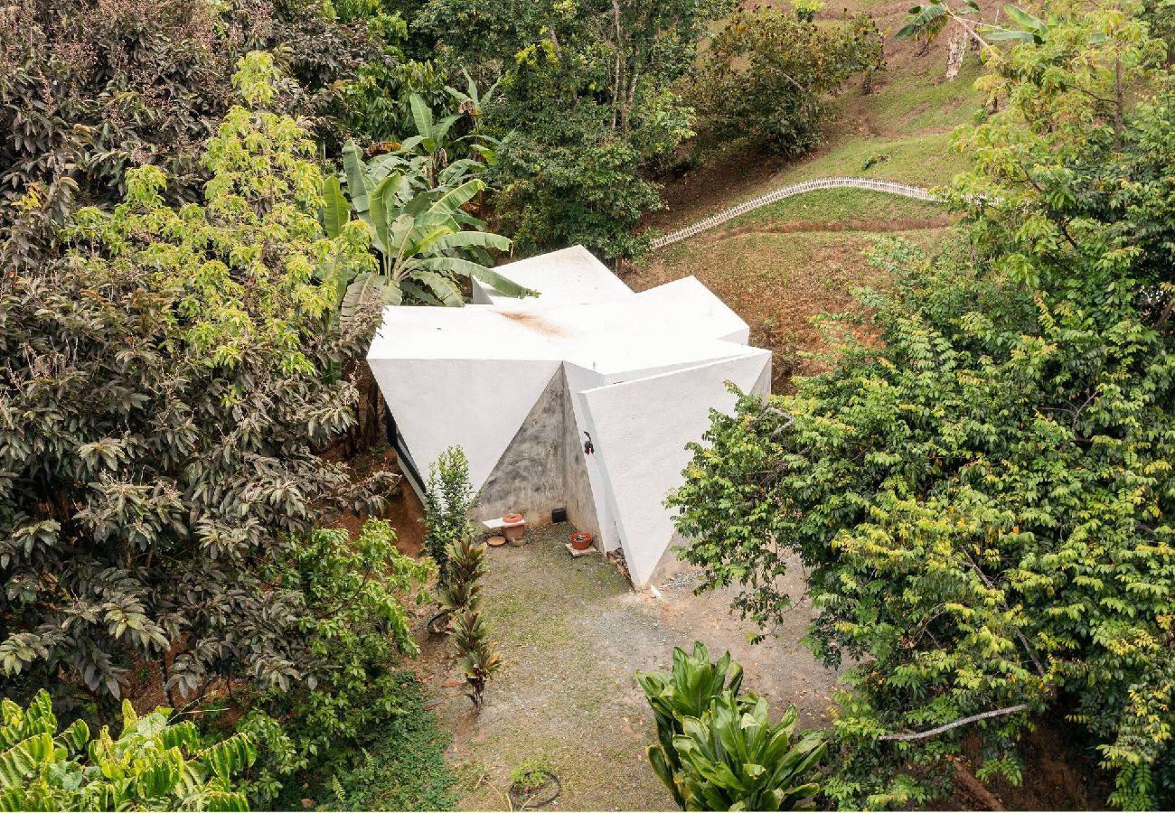 Farm stay in Naranjito - Farm Suite San Pedrito 