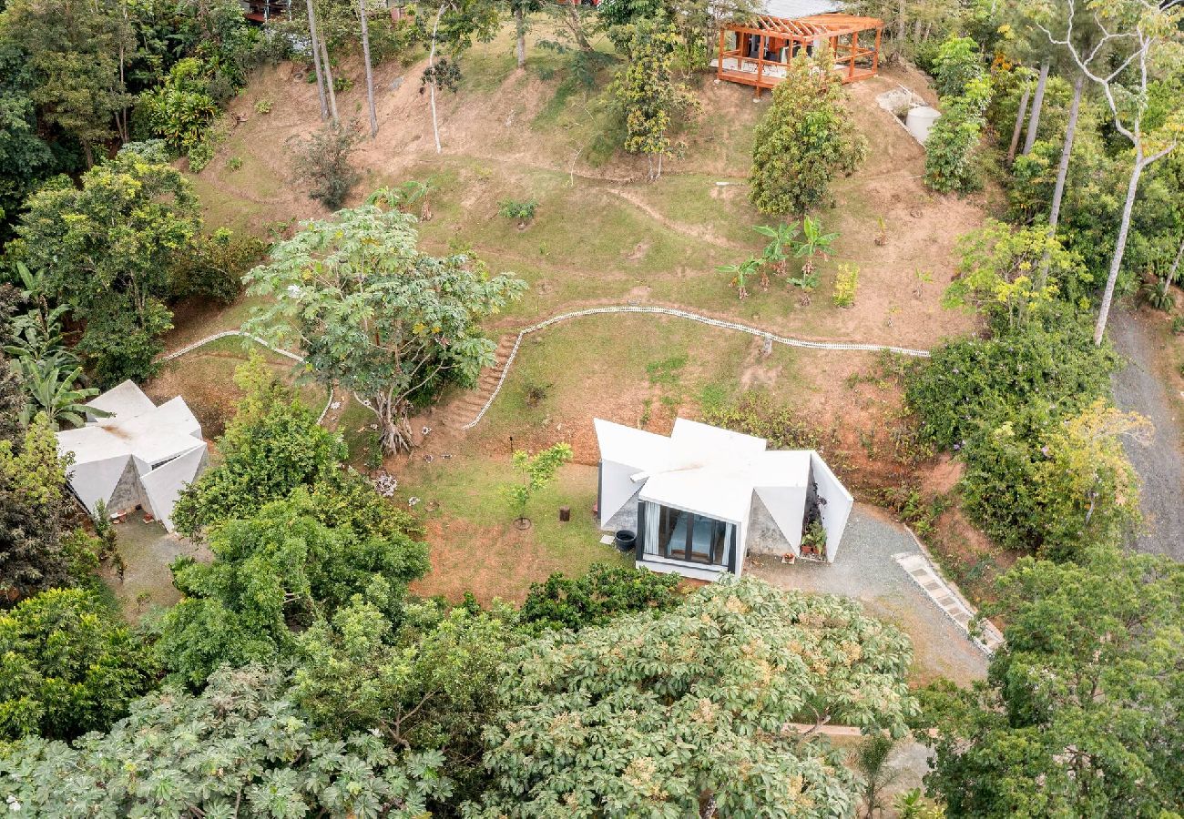 Farm stay in Naranjito - Farm Suite San Pedrito 