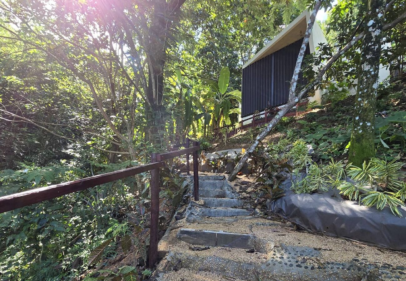 Farm stay in Naranjito - Farm Suite San Pedrito 