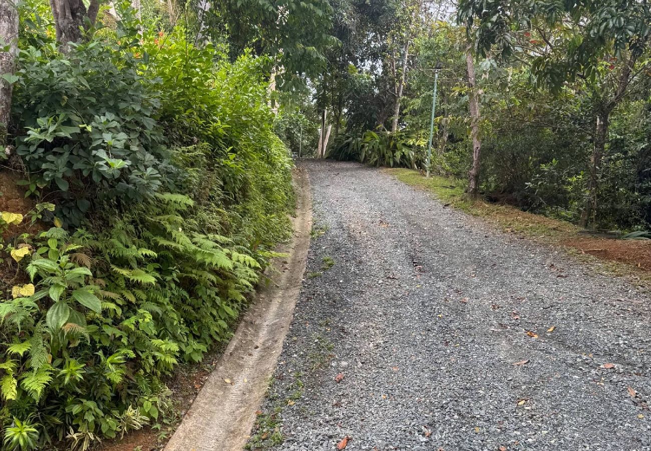 Farm stay in Naranjito - Farm Suite San Pedrito 