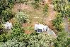 Farm stay in Naranjito - Farm Suite San Pedrito 