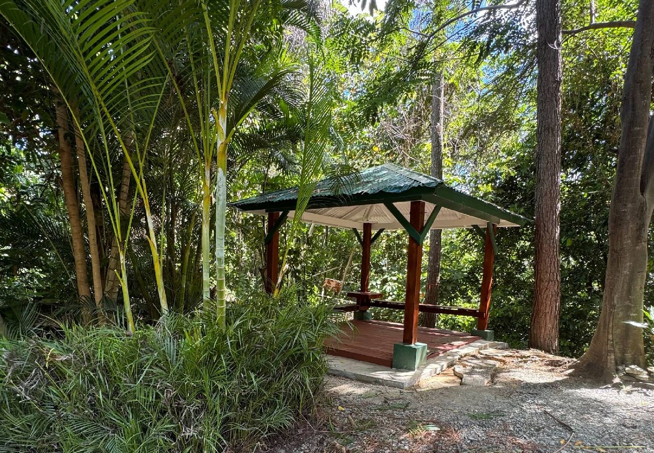 Farm stay in Naranjito - Farm Suite Bienteveo 