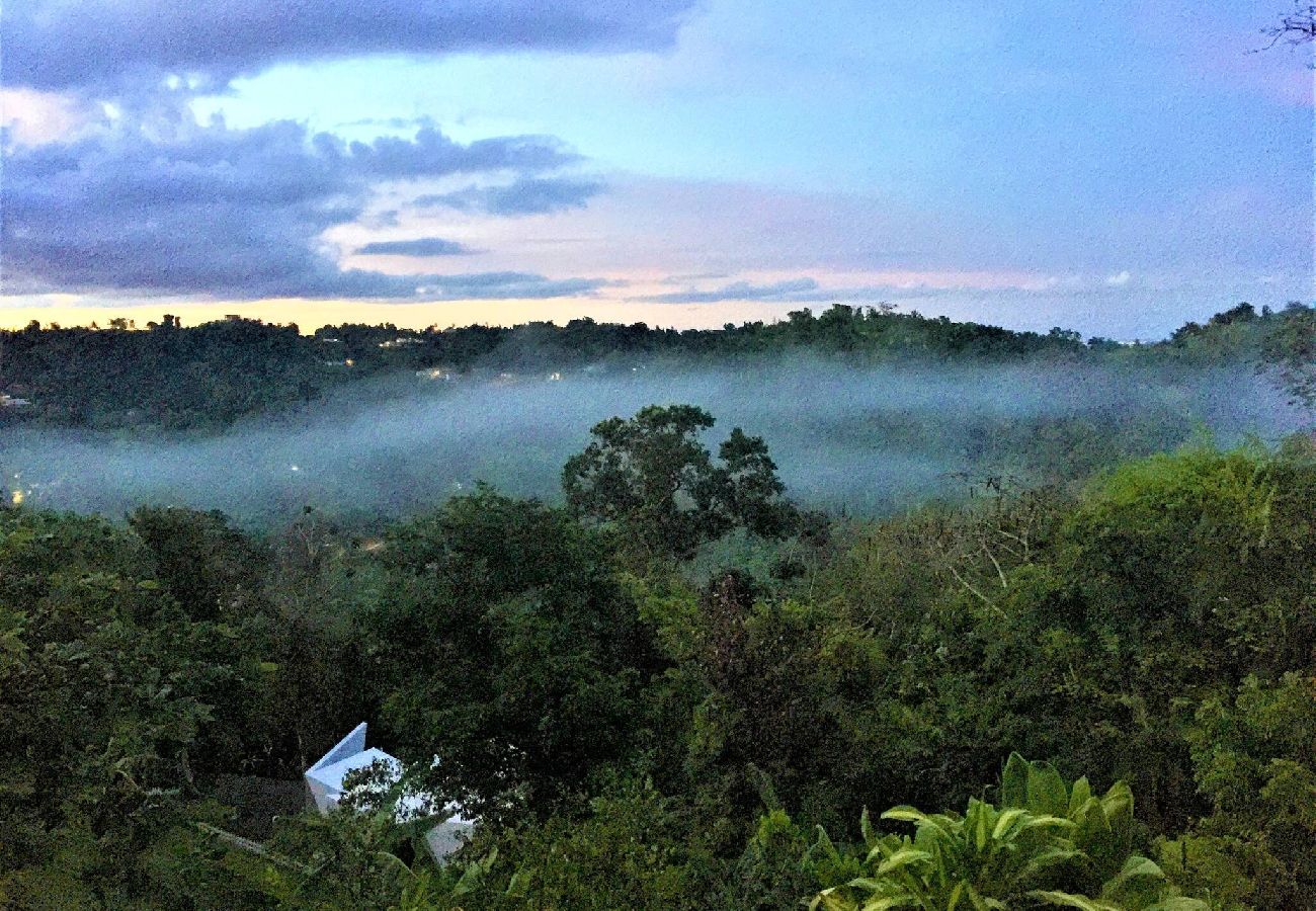 Farm stay in Naranjito - Farm Suite Bienteveo 