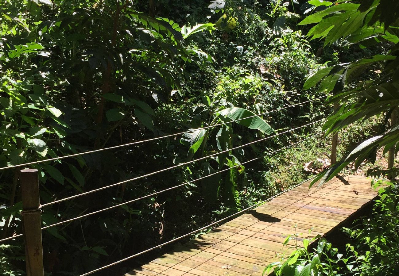 Farm stay in Naranjito - Farm Suite Bienteveo 