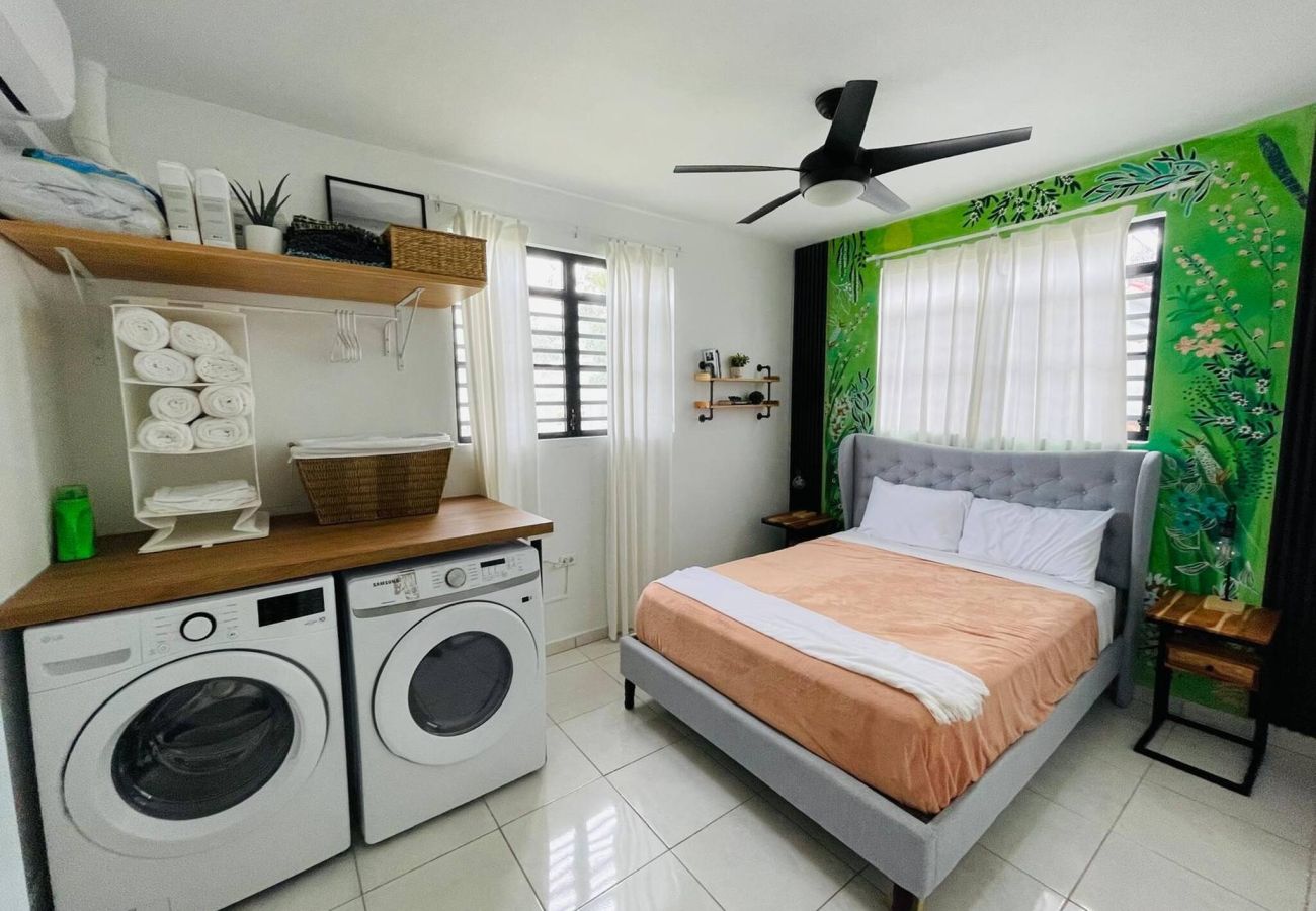House in Camuy - 6BR Beachfront Compound w/ Generator & Games 