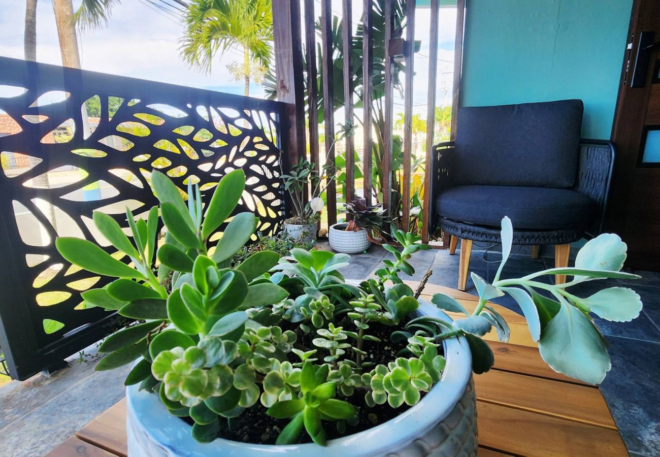 House in Camuy - 6BR Beachfront Compound w/ Generator & Games 