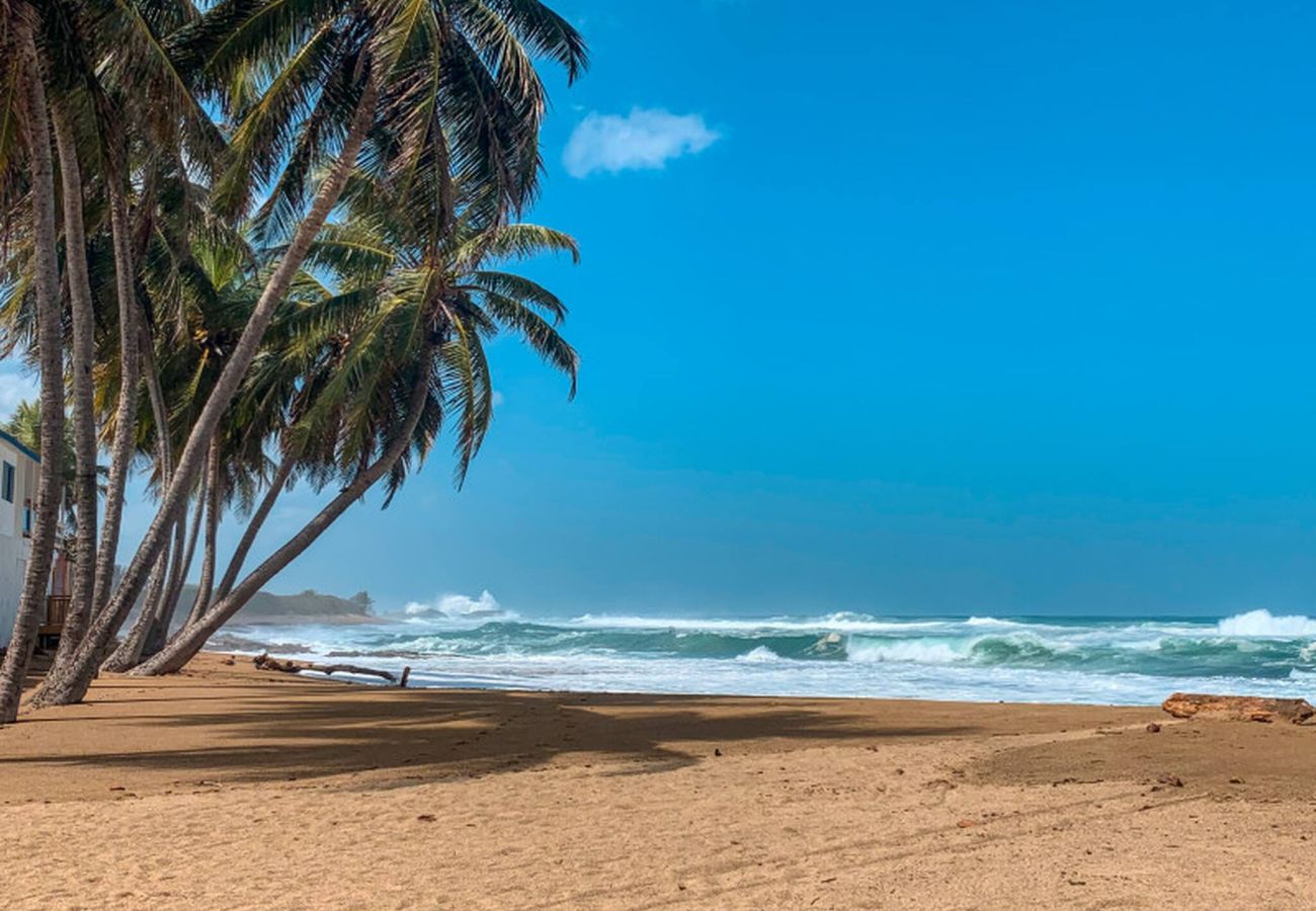 House in Camuy - 6BR Beachfront Compound w/ Generator & Games 