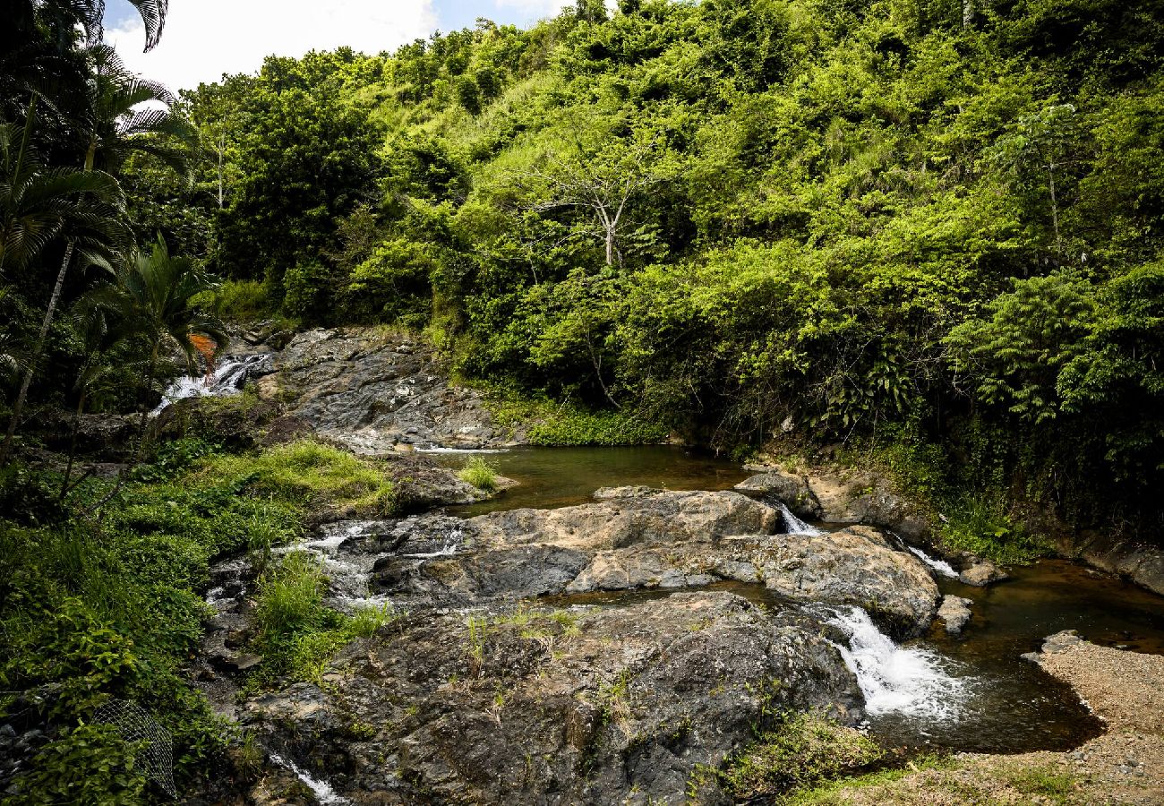 Cabin in Naranjito - LISFA95 - La Nueva Cabaña de Juan