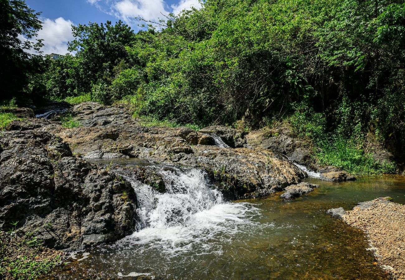 Cabin in Naranjito - LISFA95 - La Nueva Cabaña de Juan