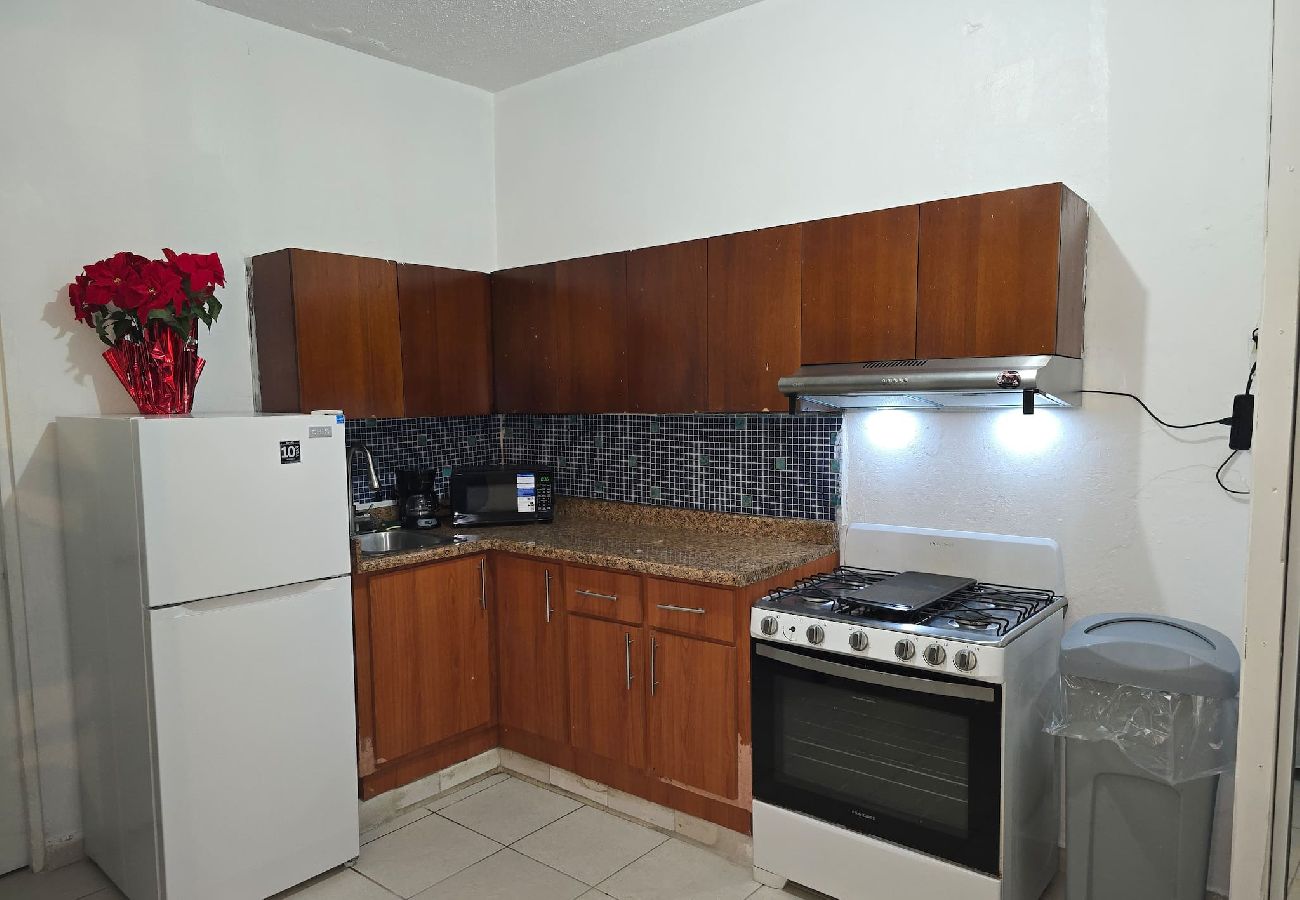 House in San Juan - LISFDED - Edificio del Parque #3 - Big