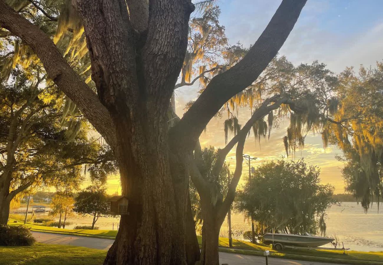 House in Polk City - Lakefront Home 5 Min to Downtown. Best Sunsets!