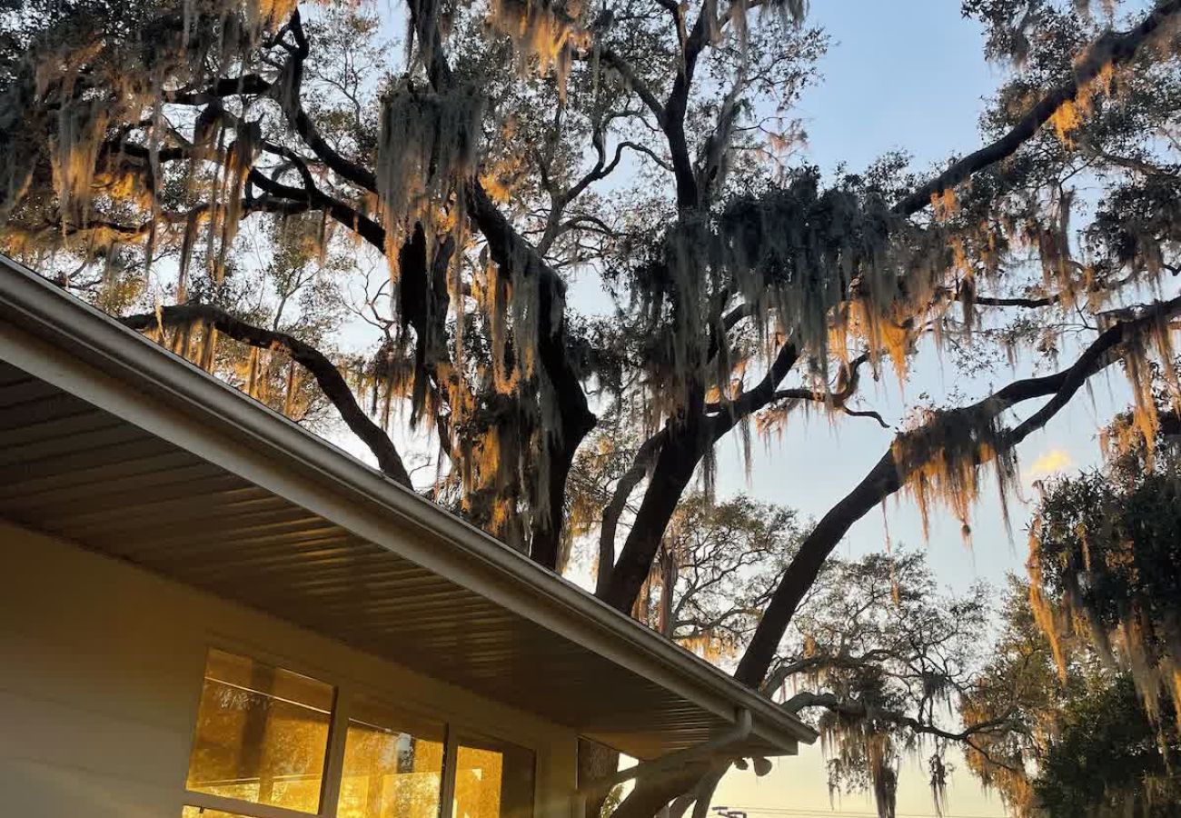 House in Polk City - Lakefront Home 5 Min to Downtown. Best Sunsets!