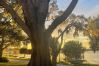 House in Polk City - Lakefront Home 5 Min to Downtown. Best Sunsets!