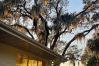 House in Polk City - Lakefront Home 5 Min to Downtown. Best Sunsets!