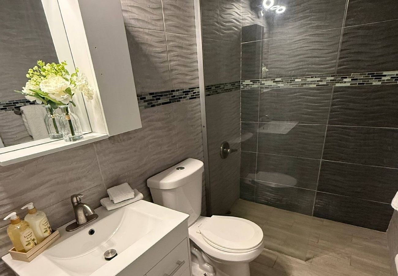 House in Carolina - Modern & Cozy Home2 Mins to Airport and car rental 