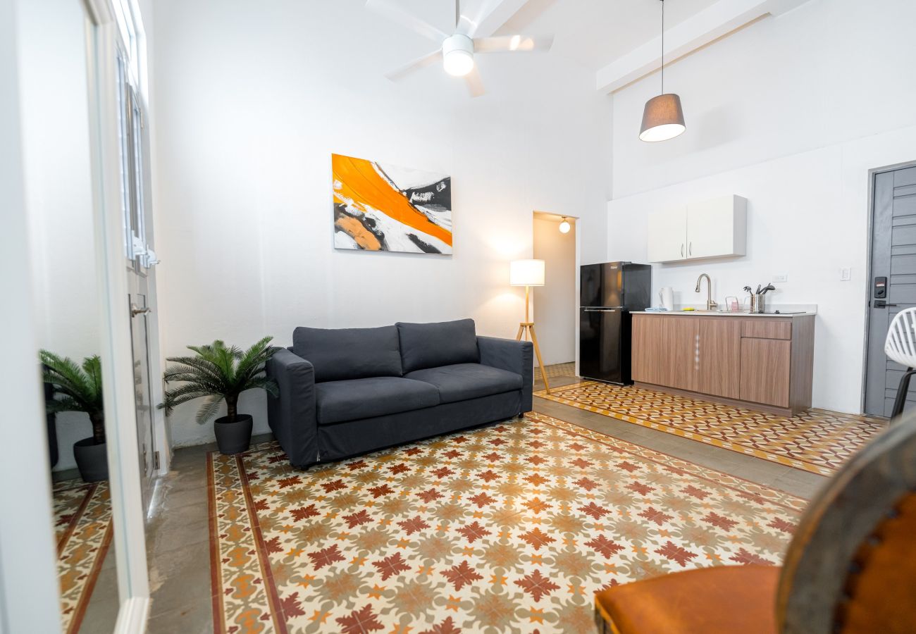 Apartment in San Juan - Nando's Place 2 - Charming 2BR Apt near Old San Juan and Beach