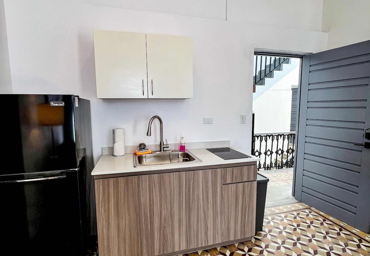 Apartment in San Juan - Nando's Place 2 - Charming 2BR Apt near Old San Juan and Beach