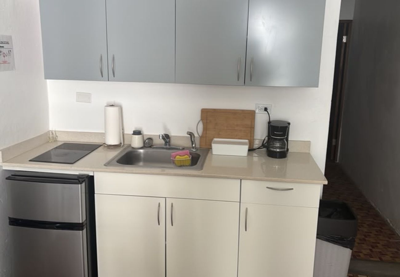 Apartment in San Juan - Apartments, 2 Bedrooms, Near Old San Juan-12